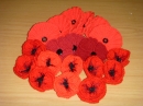 Poppies