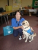 Guide Dog for the Blind